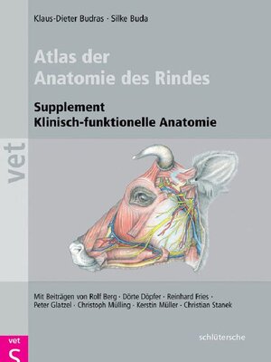 cover image of Atlas der Anatomie des Rindes